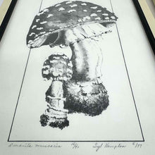 Load image into Gallery viewer, 70's Mushroom Prints