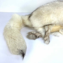 Load image into Gallery viewer, Blue Fox Hat