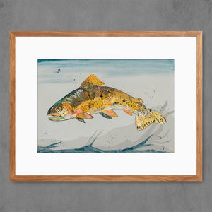 Cutthroat Trout on Gray Signed Print