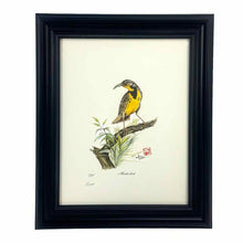 Load image into Gallery viewer, Framed Meadowlark  Print