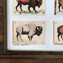 Load image into Gallery viewer, Buffalo Bison Print