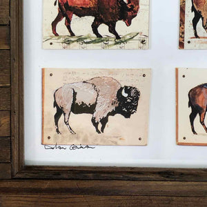 Buffalo Bison Print