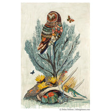 Load image into Gallery viewer, Dolan Geiman Signed Print Owl (Cotopaxi Sage)