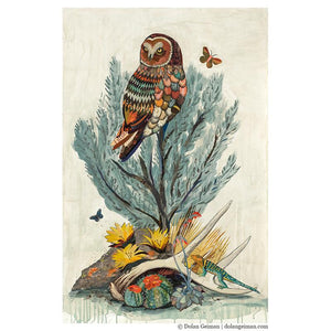 Dolan Geiman Signed Print Owl (Cotopaxi Sage)