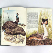 Load image into Gallery viewer, Australian Birds Book