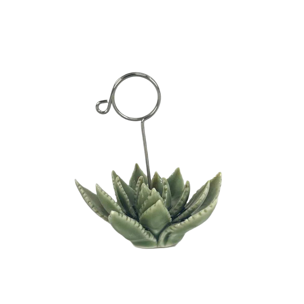 Porcelain Succulent Card Holder