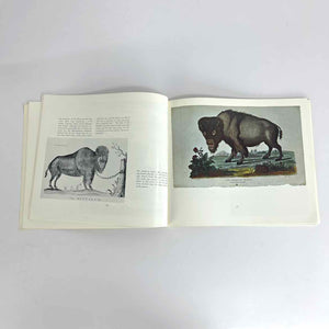 The Bison in Art Book