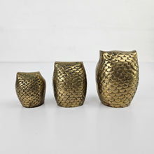 Load image into Gallery viewer, Brass Owl Family