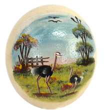 Load image into Gallery viewer, Painted Ostrich Egg