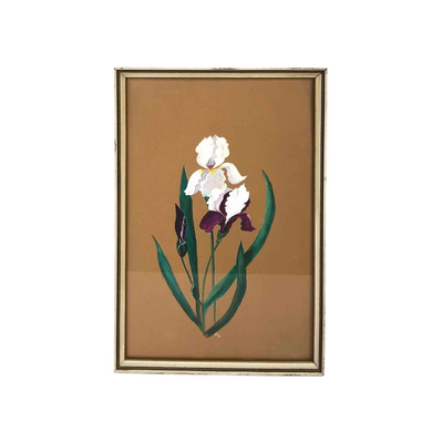 Iris Flower Framed Painting
