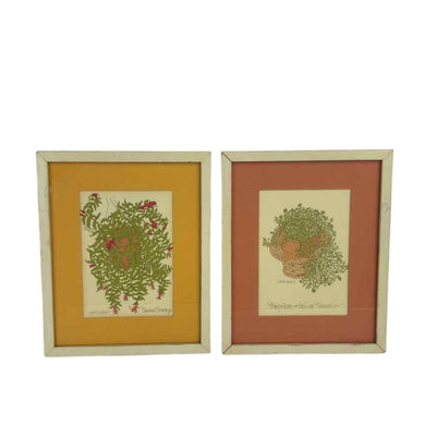 Houseplants Prints