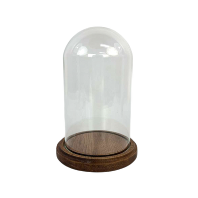 Glass Dome Cloche