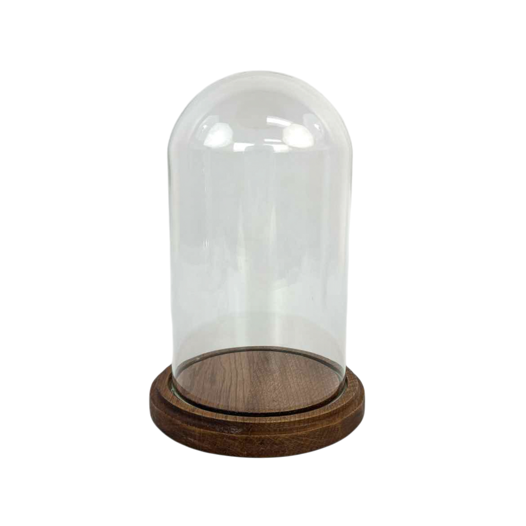 Glass Dome Cloche