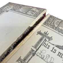 Load image into Gallery viewer, Clue of the Silken Ladder Book