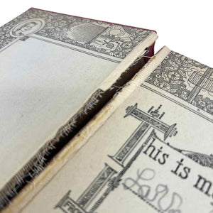 Clue of the Silken Ladder Book