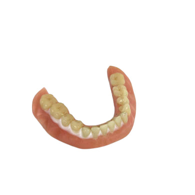 Vintage Lower Dentures