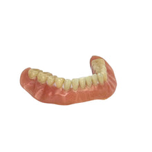 Load image into Gallery viewer, Vintage Lower Dentures
