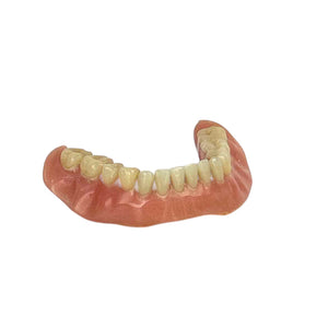 Vintage Lower Dentures