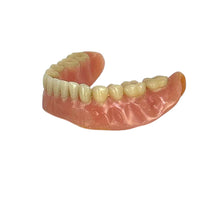 Load image into Gallery viewer, Vintage Lower Dentures
