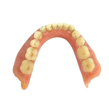 Load image into Gallery viewer, Vintage Lower Dentures