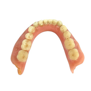 Vintage Lower Dentures