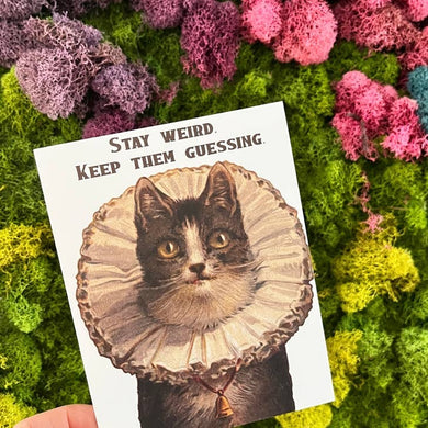 Staty Weird Cat Card