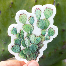 Load image into Gallery viewer, Prickly Pear Sticker