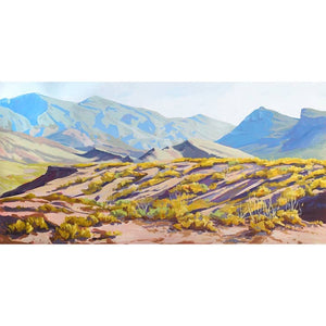 Chihuahuan Desert Landscape Print