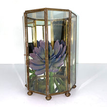 Load image into Gallery viewer, Brass &amp; Glass Display Box