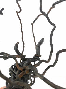 Gnarled Tree Steel Sculpture