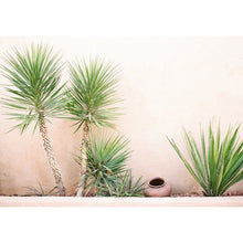 Load image into Gallery viewer, Yuccas at the Gage Hotel Print