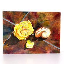 Load image into Gallery viewer, Still Life Nautilus Painting