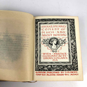 Shakespeare's Much Ado About Nothing Book