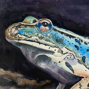 Frogs Watercolor Painting