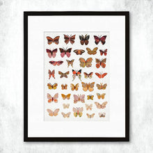 Load image into Gallery viewer, Dolan Geiman Signed Print Butterflies (Dawn)