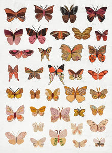 Dolan Geiman Signed Print Butterflies (Dawn)