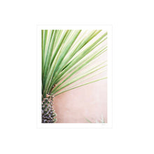 Load image into Gallery viewer, Yucca on Pink Wall Print