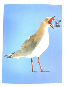 What The Shit Seagull Card
