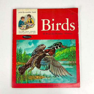 Paint-by-Number Bird Book