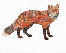 Load image into Gallery viewer, Dolan Geiman Signed Print Western Mammals (Fox)