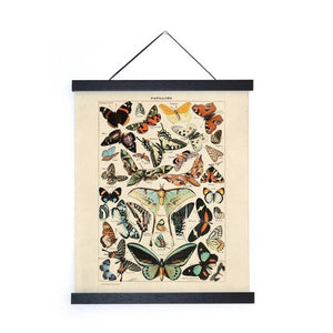 Butterfly Papillons Illustration Print