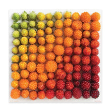 Load image into Gallery viewer, Salmonberries Puzzle