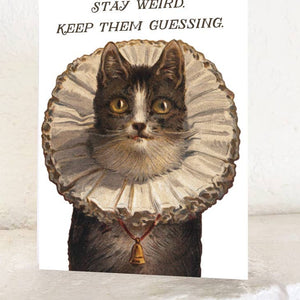 Staty Weird Cat Card