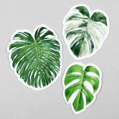 Monstera Leaf Sticker Set
