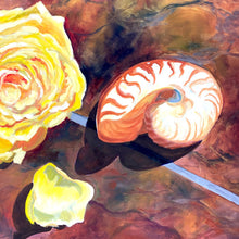 Load image into Gallery viewer, Still Life Nautilus Painting