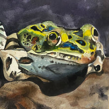 Load image into Gallery viewer, Frogs Watercolor Painting