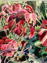 Load image into Gallery viewer, Plant Nursery Watercolor Painting