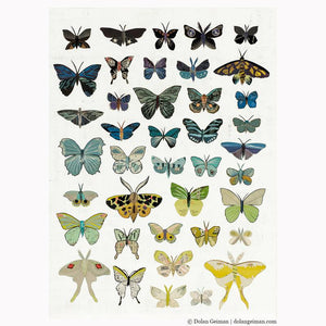 Dolan Geiman Signed Print Butterflies (Dusk)