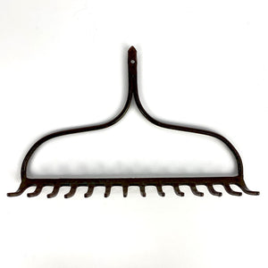 Rake Head Jewelry Holder