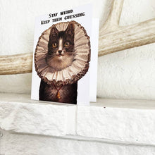 Load image into Gallery viewer, Staty Weird Cat Card